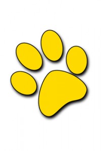 A graphical representation of the UMBC paw print